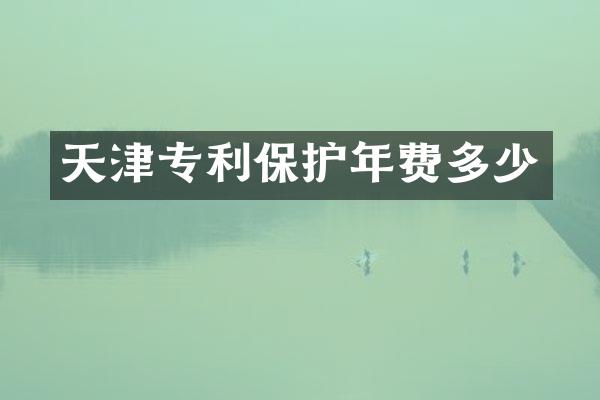 天津专利保护年费多少