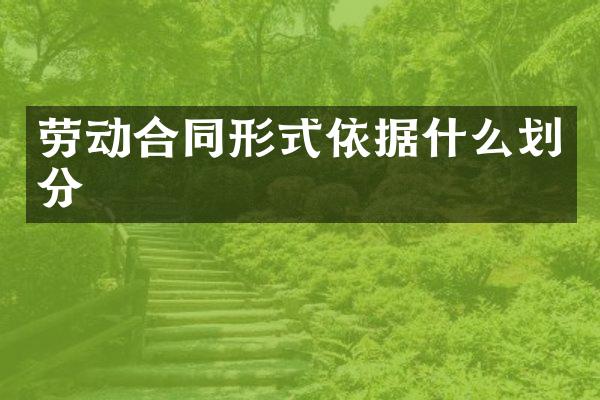 劳动合同形式依据什么划分