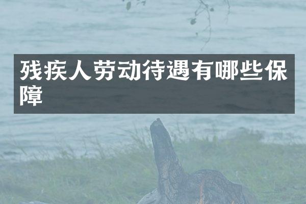 残疾人劳动待遇有哪些保障