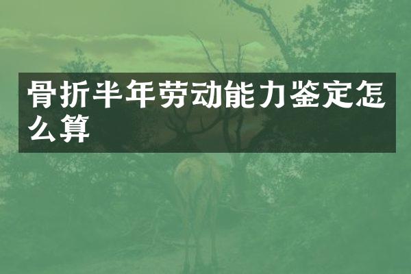 骨折半年劳动能力鉴定怎么算