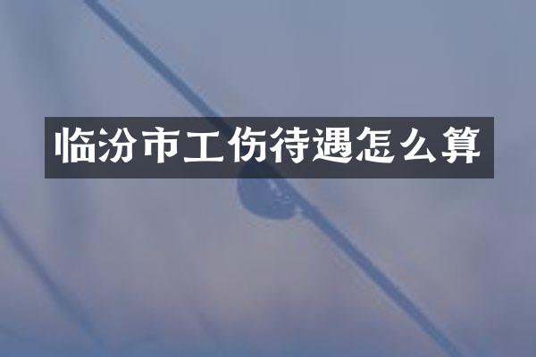 临汾市工伤待遇怎么算