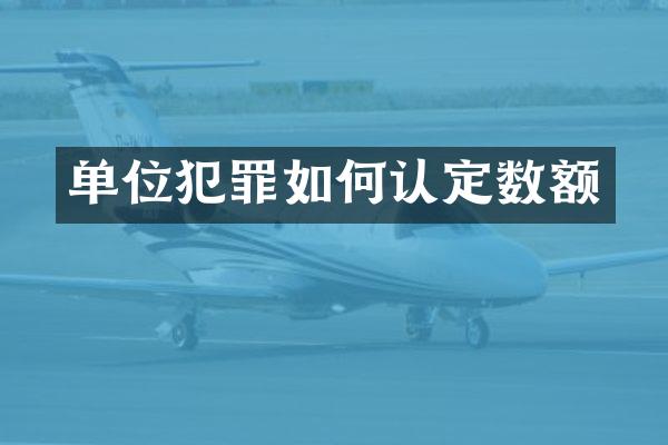 单位犯罪如何认定数额