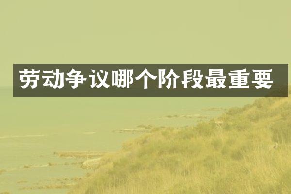 劳动争议哪个阶段最重要