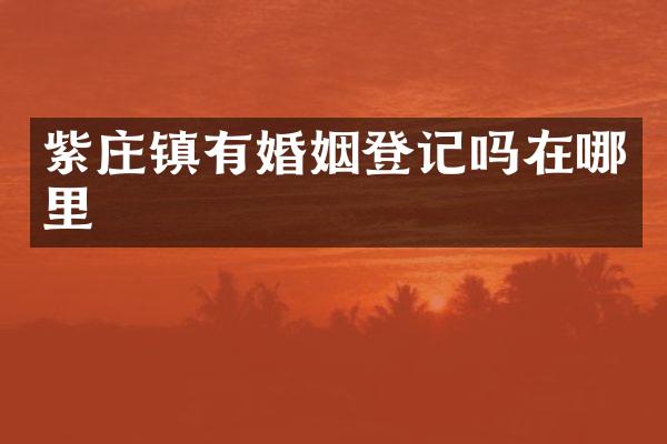 紫庄镇有婚姻登记吗在哪里