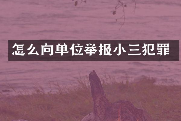 怎么向单位举报犯罪