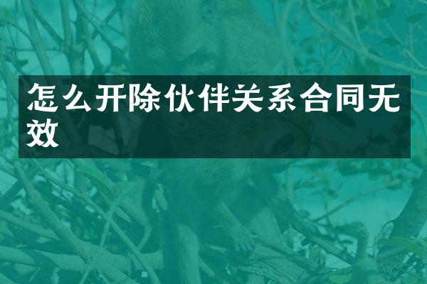 怎么开除伙伴关系合同无效