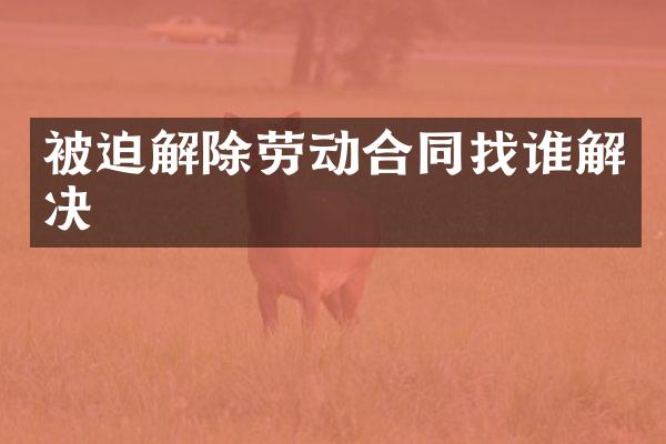 被迫解除劳动合同找谁解决