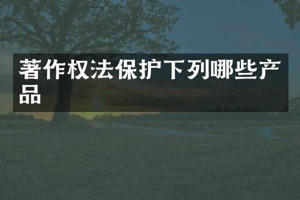 著作权法保护下列哪些产品