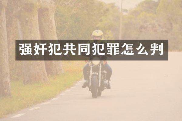 犯共同犯罪怎么判