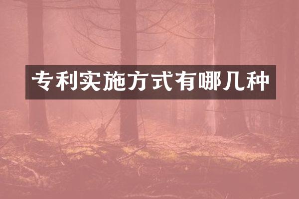 专利实施方式有哪几种