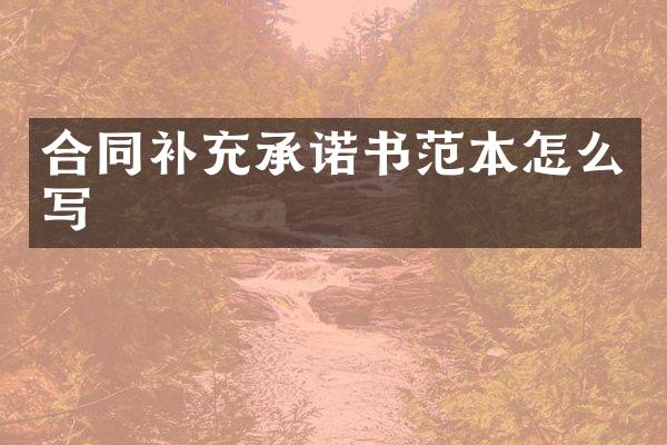 合同补充承诺书范本怎么写