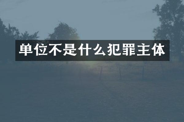 单位不是什么犯罪主体