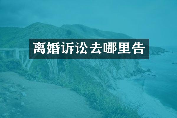 离婚诉讼去哪里告
