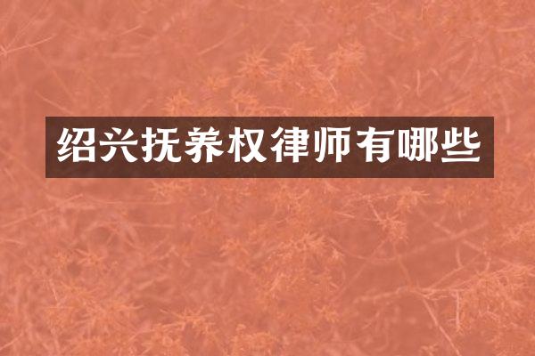绍兴抚养权律师有哪些