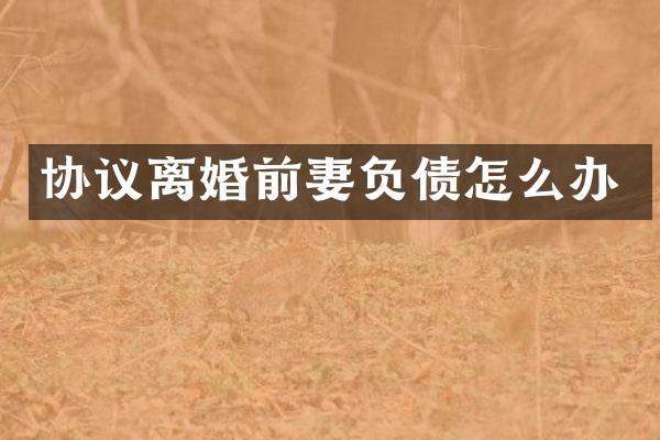 协议离婚前妻负债怎么办