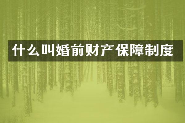 什么叫婚前财产保障制度