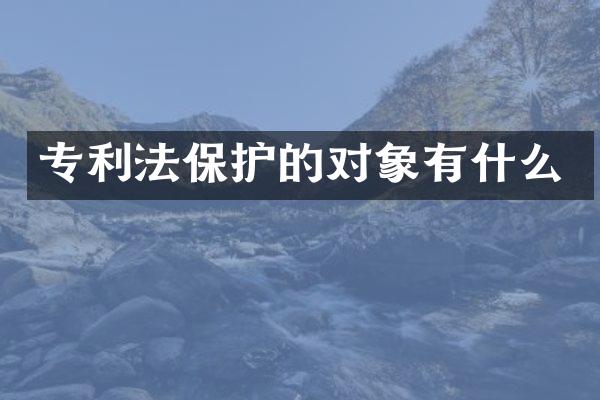 专利法保护的对象有什么