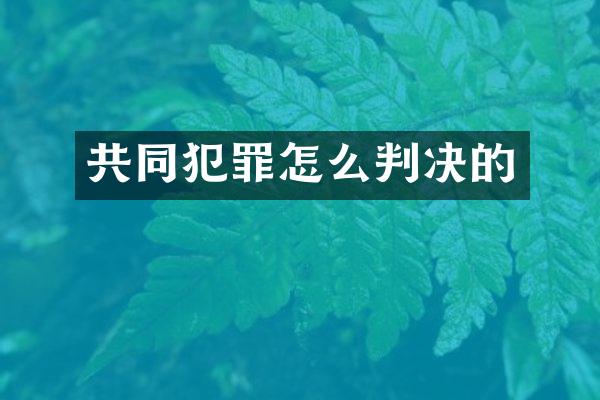 共同犯罪怎么判决的