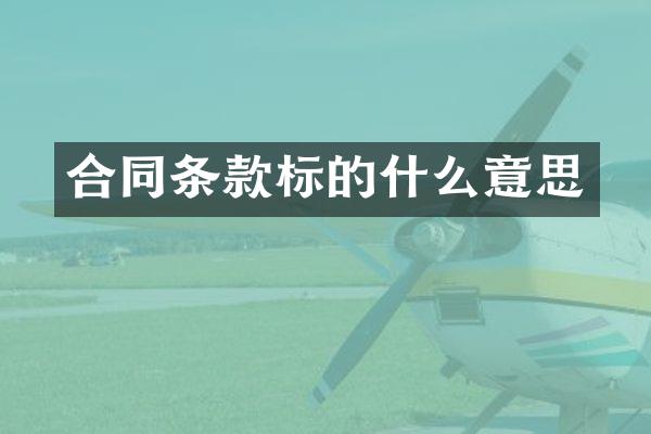 合同条款标的什么意思