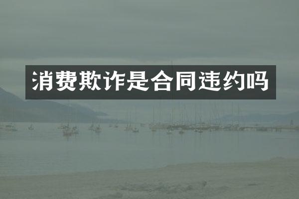 消费欺诈是合同违约吗