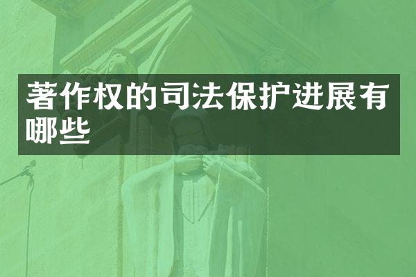 著作权的司法保护进展有哪些