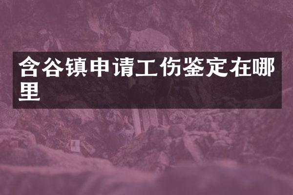 含谷镇申请工伤鉴定在哪里