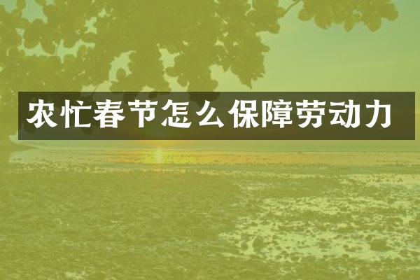 农忙春节怎么保障劳动力