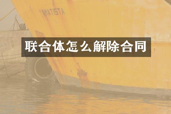 联合体怎么解除合同