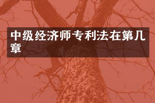 中级经济师专利法在第几章