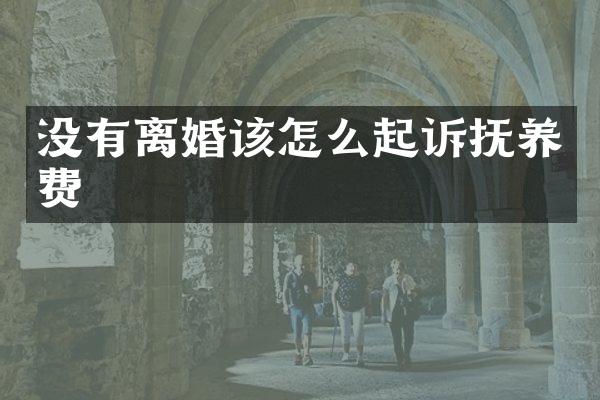 没有离婚该怎么起诉抚养费