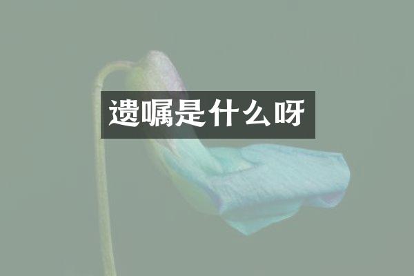 遗嘱是什么呀