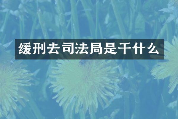缓刑去司法局是干什么