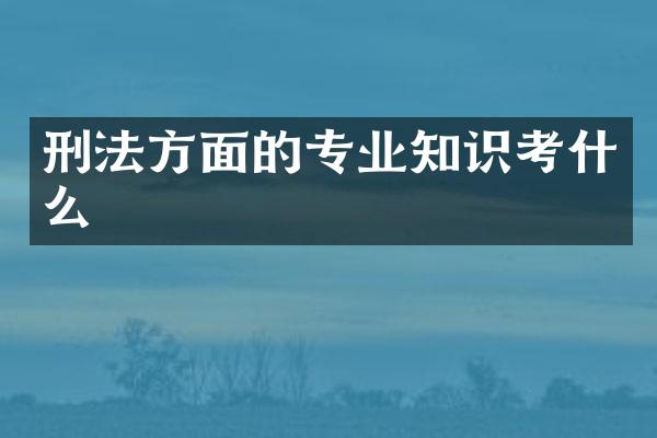 刑法方面的专业知识考什么