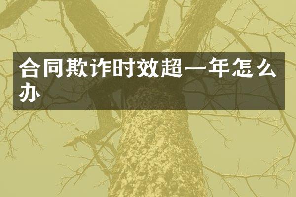 合同欺诈时效超一年怎么办