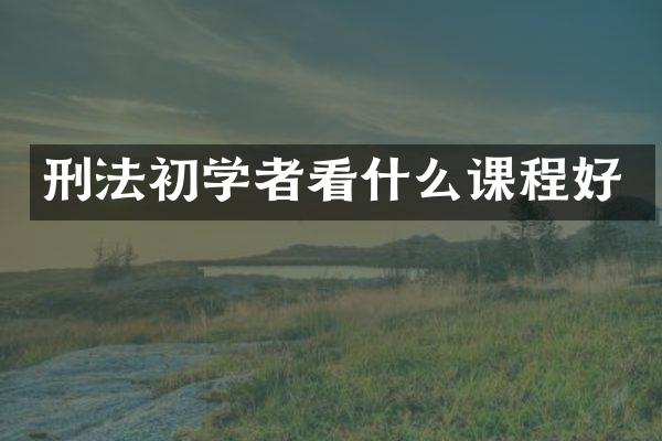 刑法初学者看什么课程好