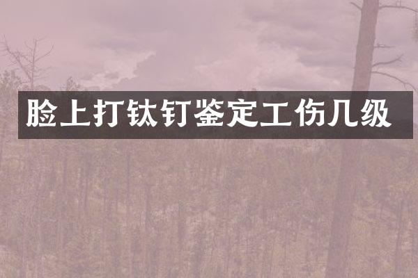 脸上打钛钉鉴定工伤几级