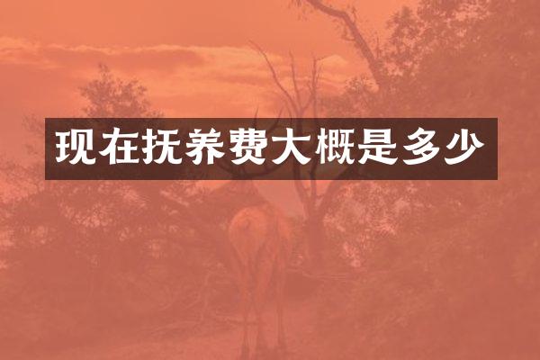 现在抚养费大概是多少