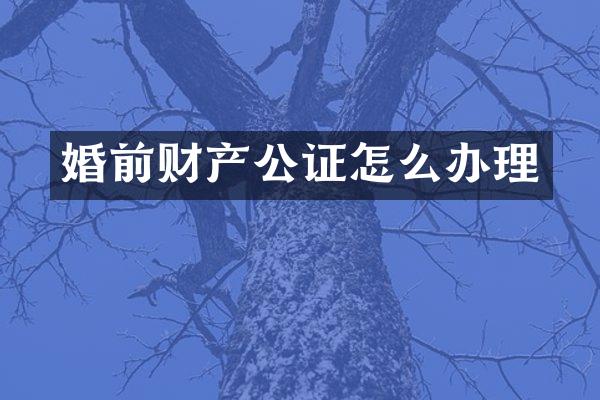 婚前财产公证怎么办理