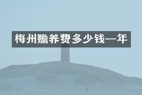 梅州赡养费多少钱一年