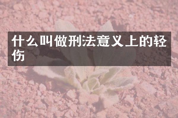 什么叫做刑法意义上的轻伤