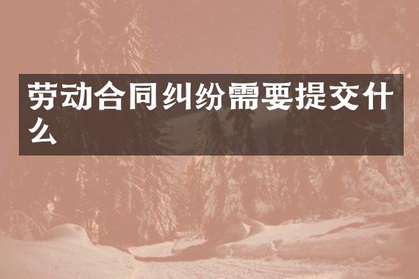 劳动合同纠纷需要提交什么