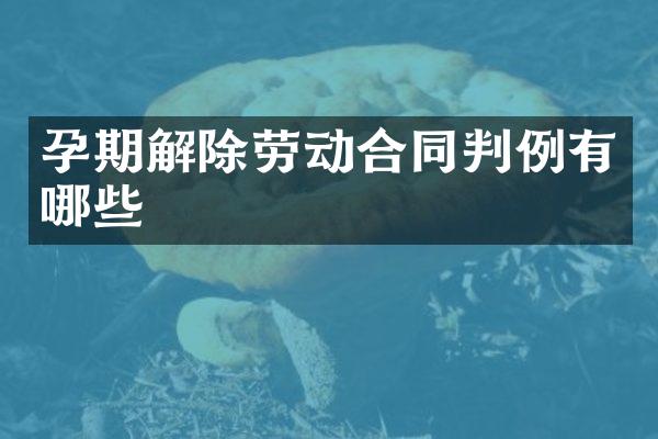 孕期解除劳动合同判例有哪些
