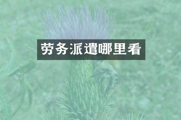 劳务派遣哪里看