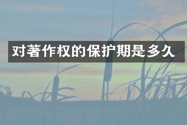 对著作权的保护期是多久
