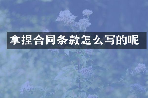 拿捏合同条款怎么写的呢