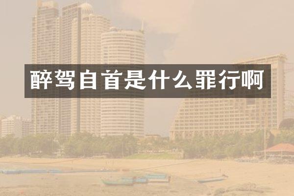 醉驾自首是什么罪行啊
