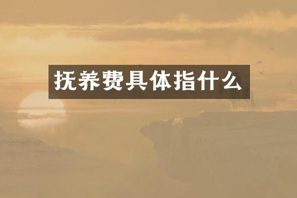 抚养费具体指什么