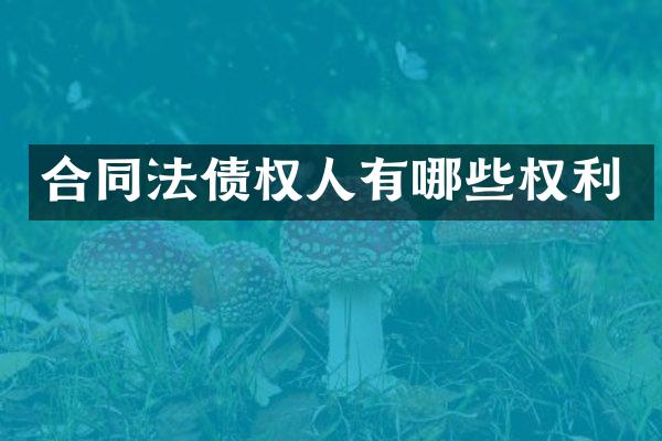合同法债权人有哪些权利