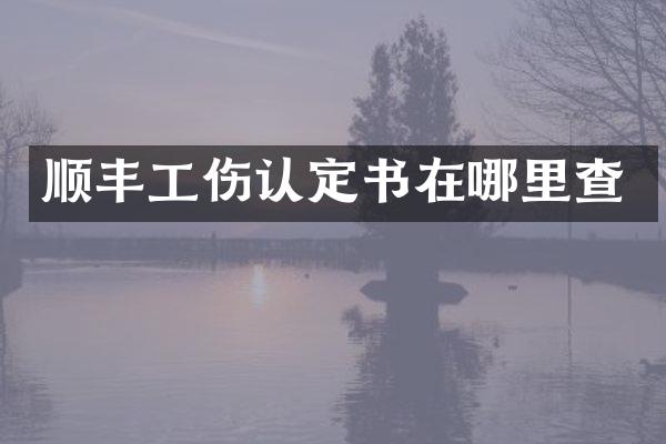 顺丰工伤认定书在哪里查