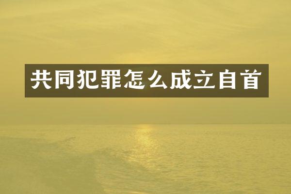 共同犯罪怎么成立自首